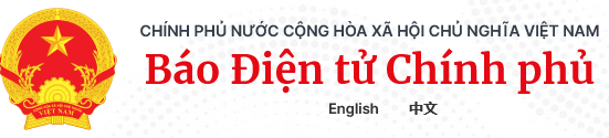 Baochinhphu.vn